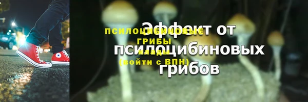 мет Арсеньев