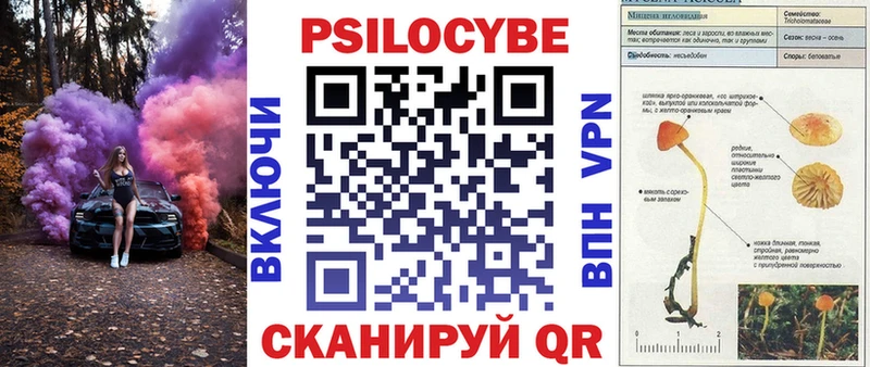 Галлюциногенные грибы Psilocybe  наркошоп  Лянтор 